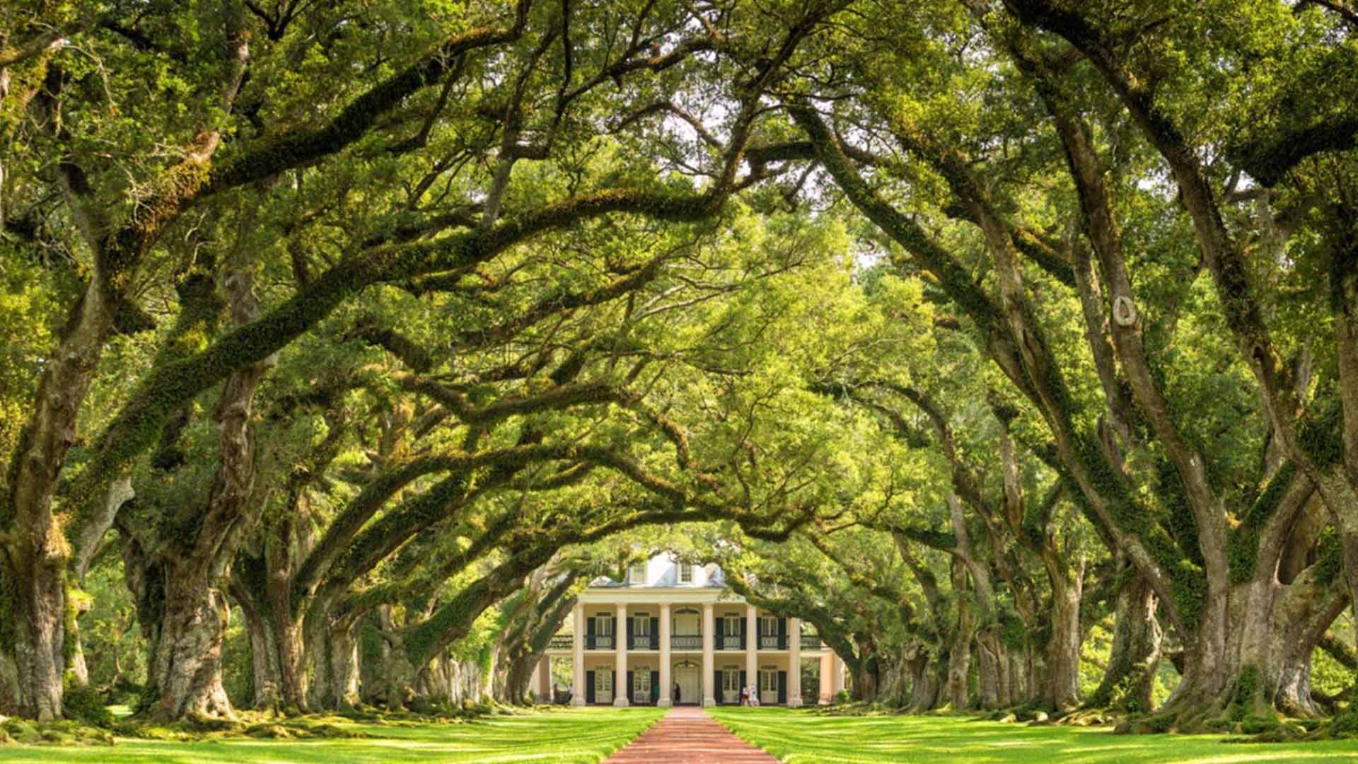 Louisiana plantation